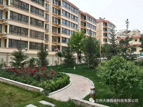 臨洮怡康苑住宅小區(qū)園林景觀綠化工程