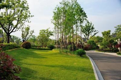 園林綠化中土方造型施工技術探討--全民網建