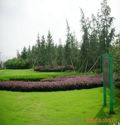 承攬綠化工程、園林施工、園林綠化工程養護