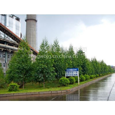 景觀設(shè)計(jì)_園林綠化_綠化養(yǎng)護(hù)_苗樹銷售&ndash;【上海宗沃景觀工程】