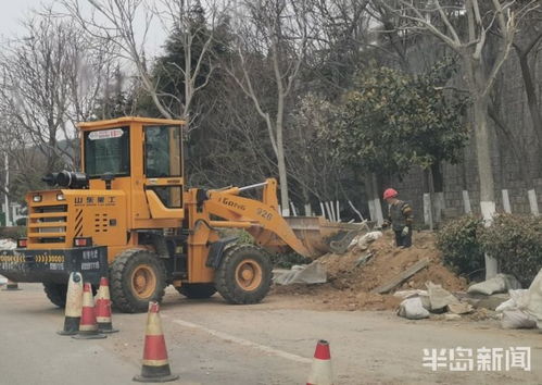 青島市區園林綠化工程有序復工，施工人員忙碌建設美麗家園