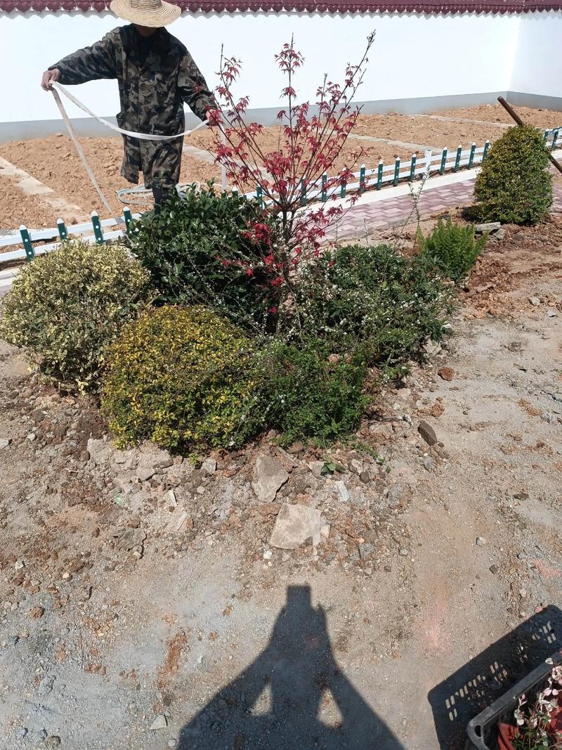 單位綠化施工現(xiàn)場(chǎng)管理與園林景觀工程實(shí)踐