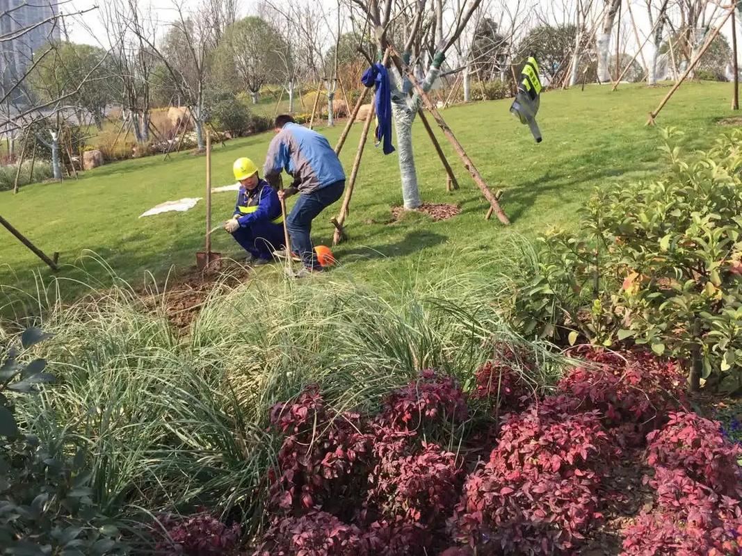 邊坡綠化工程 專業施工，筑造綠色家園的生態屏障